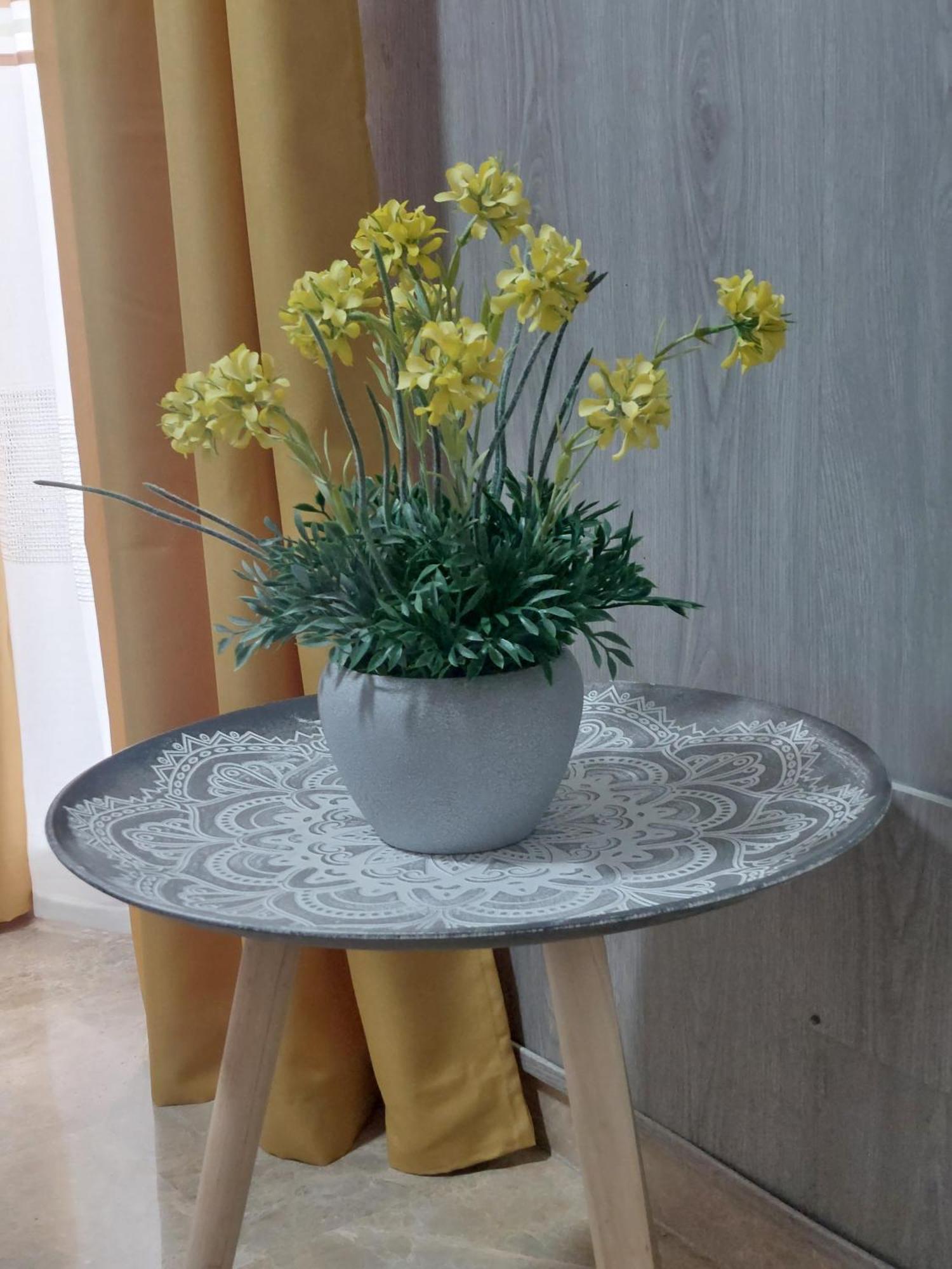 Atico Plata Apartment